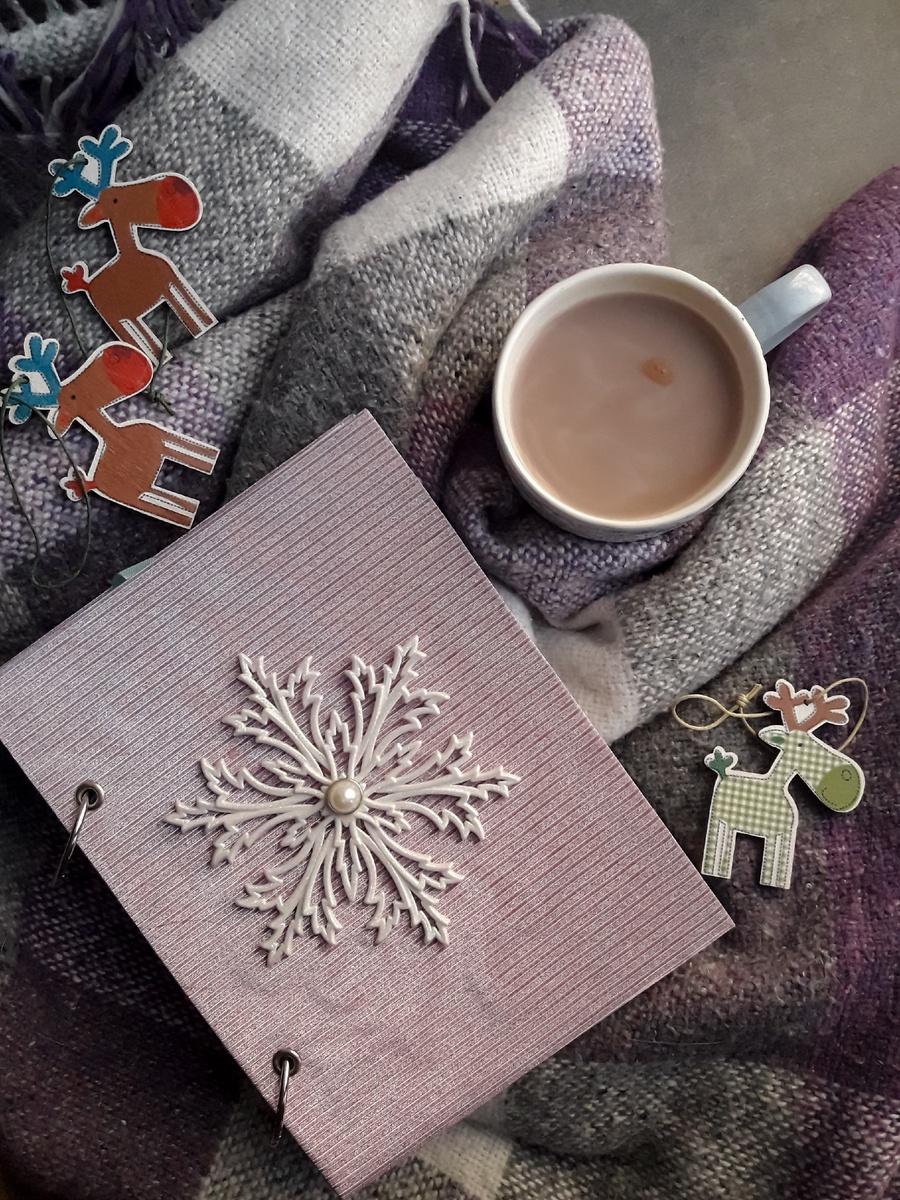 Декабрьский дневник, фото автора