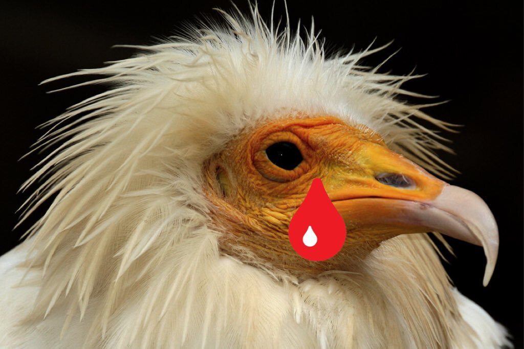 Как выглядят звонилки!!!