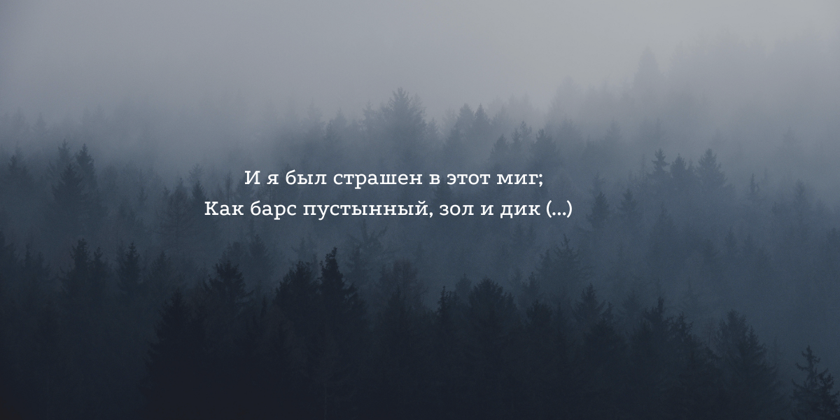 М.Ю. Лермонтов. Мцыри. Глава 18.