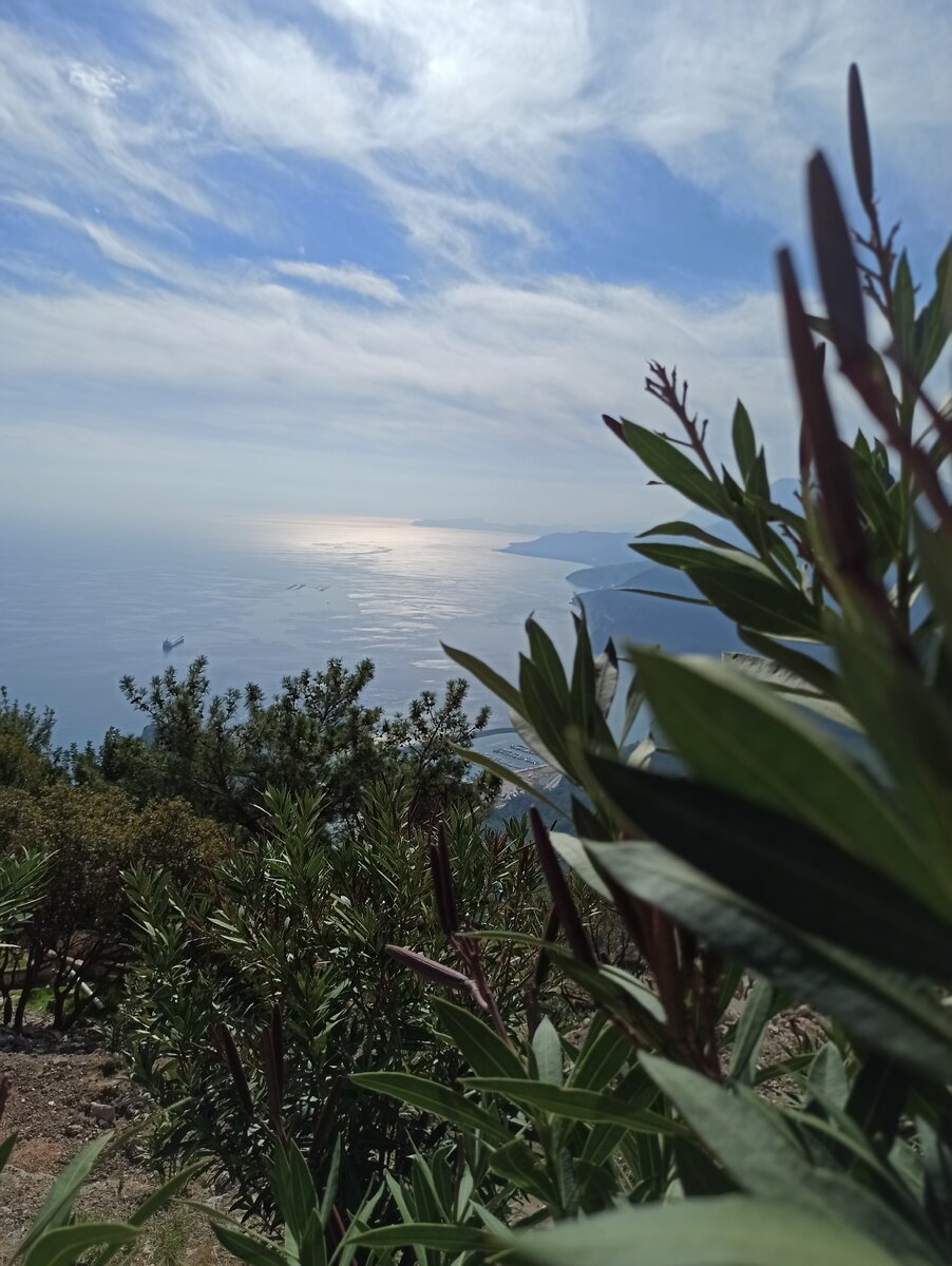 фото из личного архива