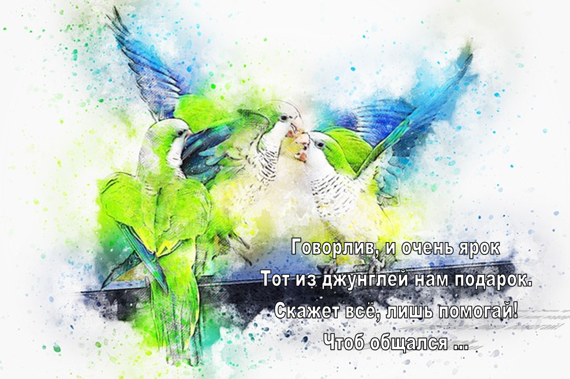 Иллюстрация JL G с сайта Pixabay 