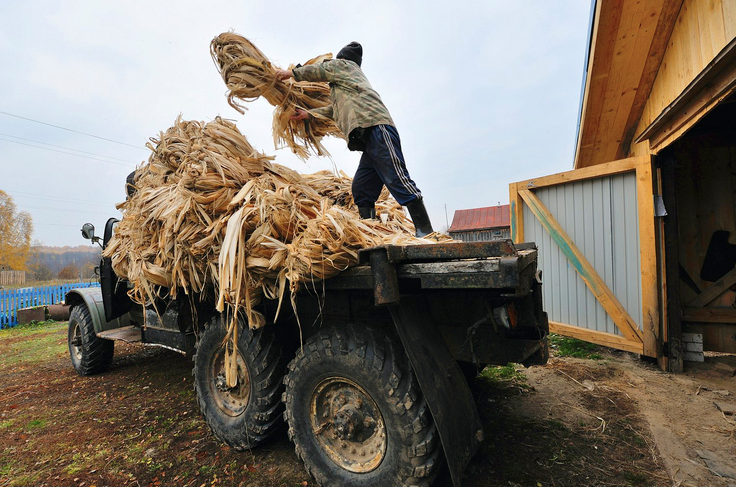 Потом такими охапками развозят.