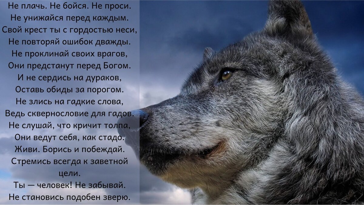 Изображение из открытых источников