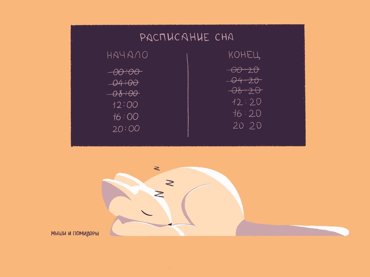 Настройка цикла