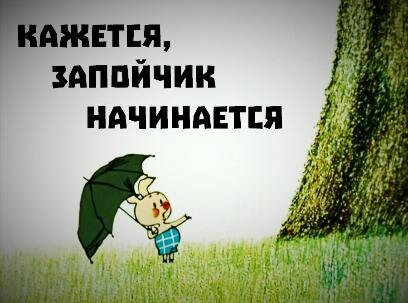 Фото из Интернет