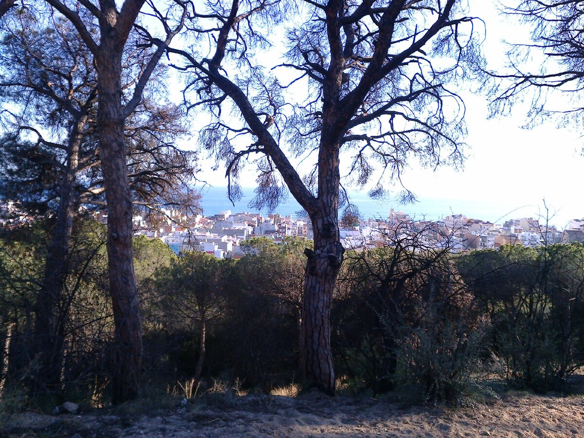 на самой верхней точке