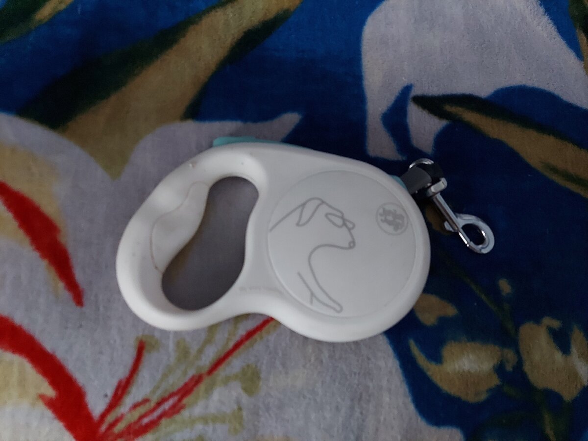 Новый поводок — рулетка