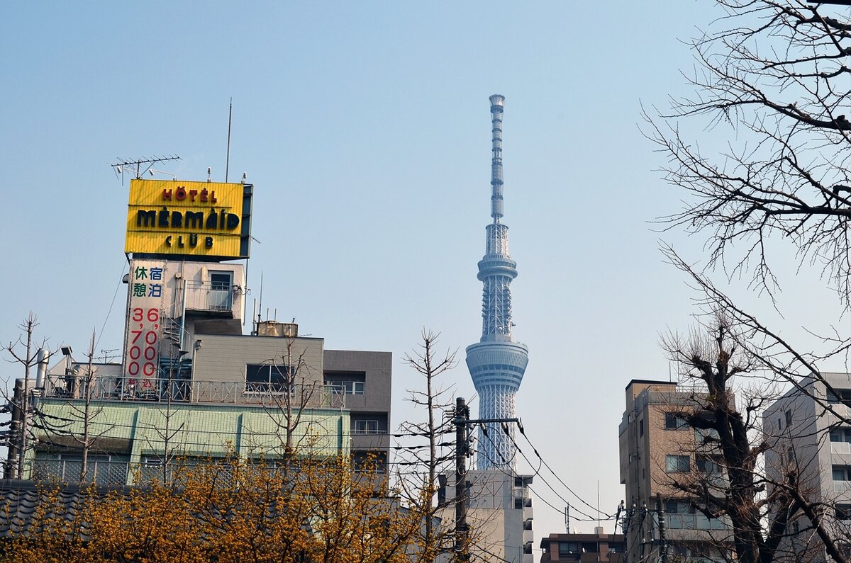 Вид на башню Tokyo   Skytree с улицы Nakamise-dori