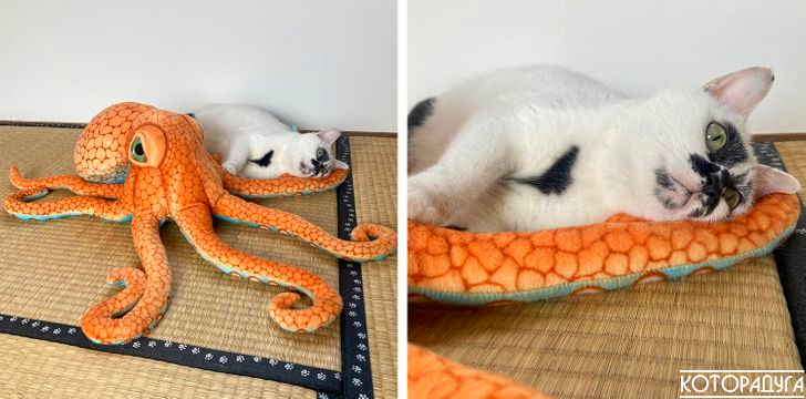 Источник: reddit.com