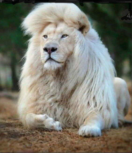 Новолуние на восходящем узле...