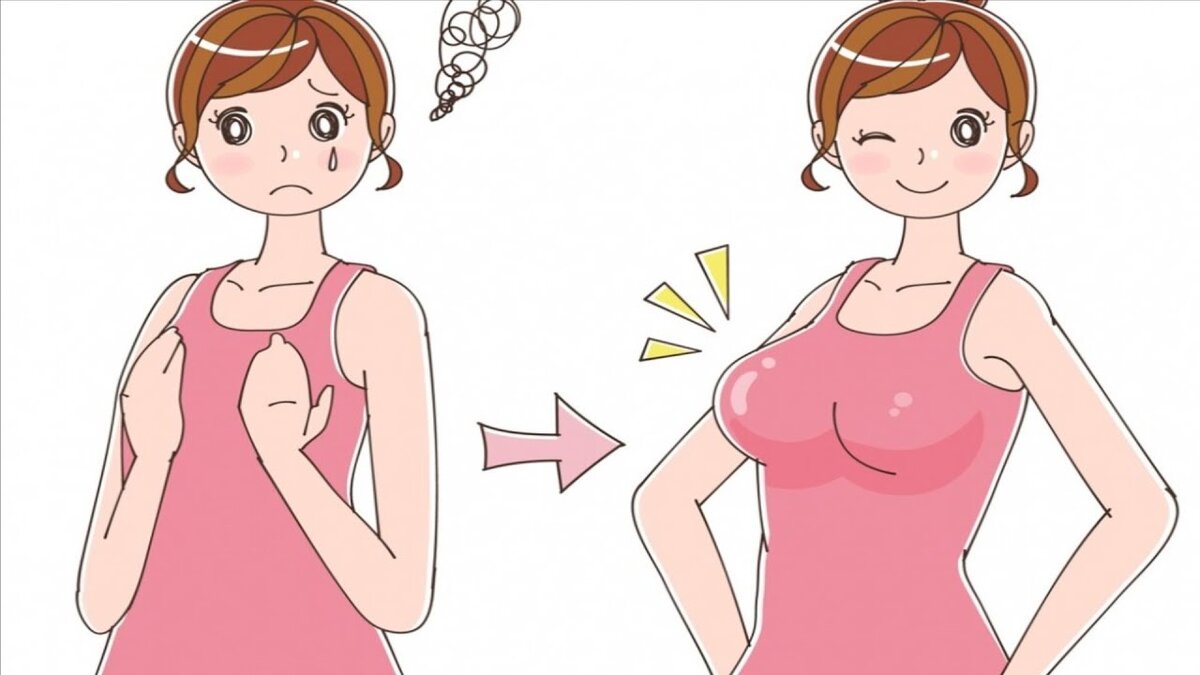 Рост женской груди