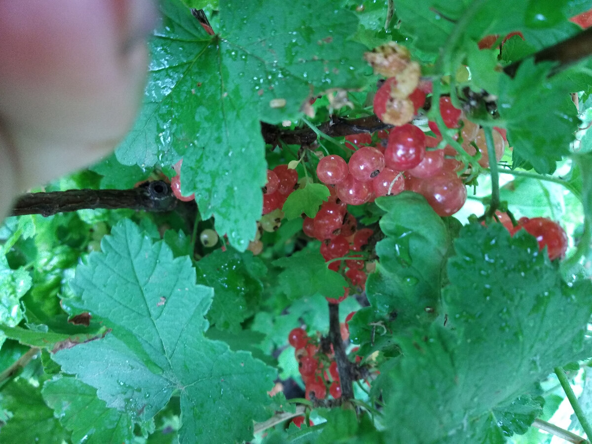 Фото автора канала Подписывайтесь