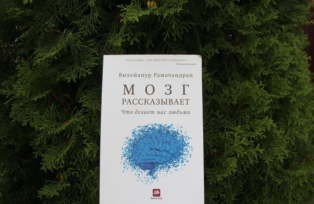 Вилейанур Субраманиан Рамачандран, «Мозг рассказывает»; фото - мое 