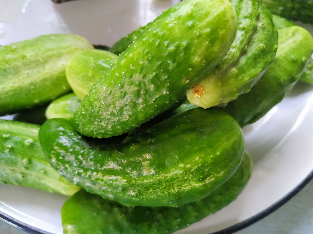 Квашеные огурцы в собственном соку на зиму (без уксуса и стерилизации)!