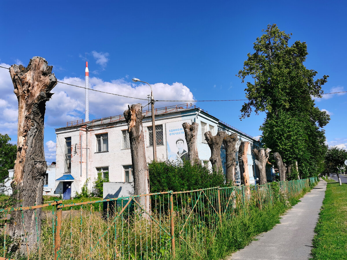 Сколько деревьев погубили