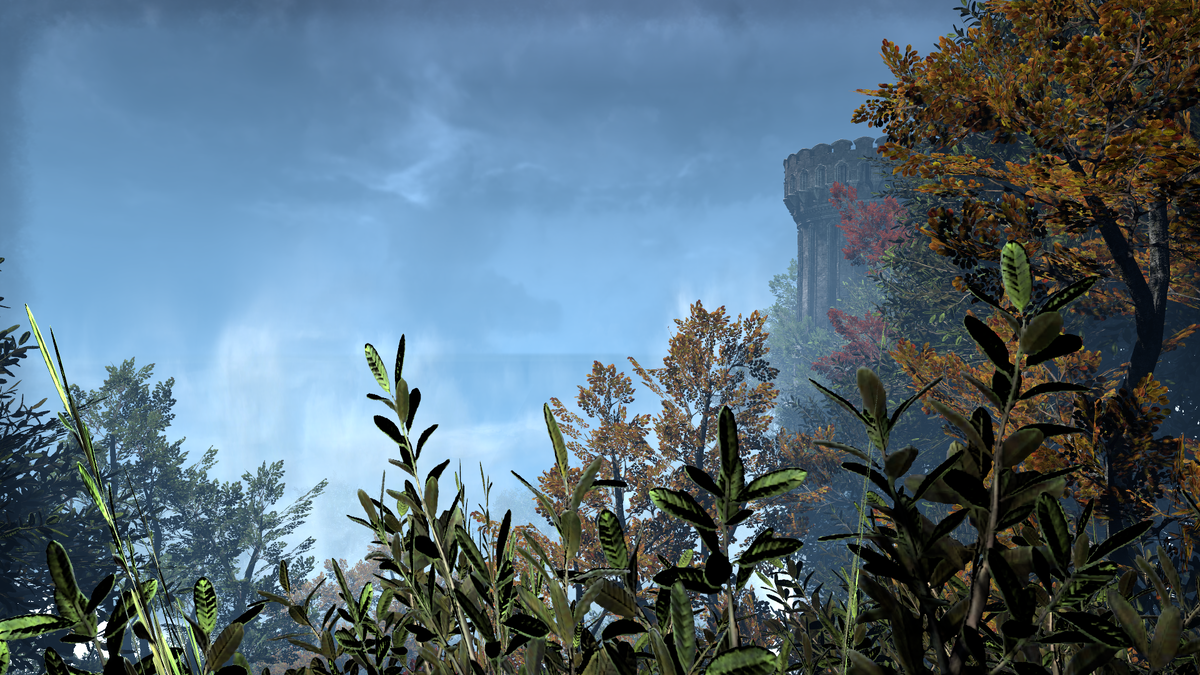 Красивый вид из окна камеры