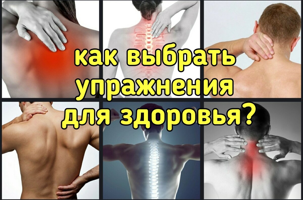 Какие упражнения выбрать? Для мышц шеи, живота, поясницы, или тазового дна?  Подскажет чувство тяжести в теле | Причины Здоровья | Дзен