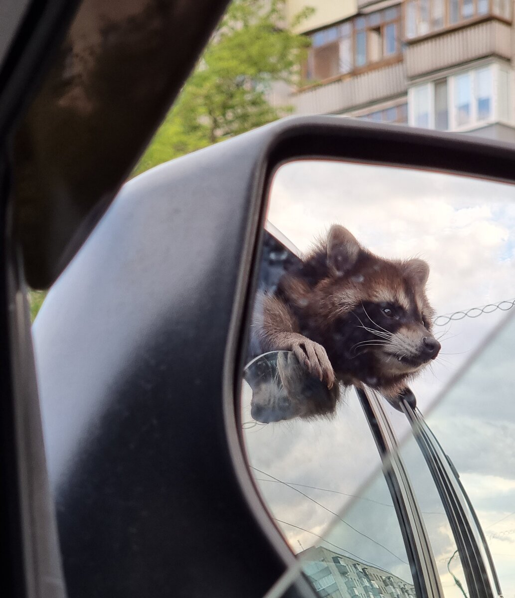 Главные по контролю за улыбками