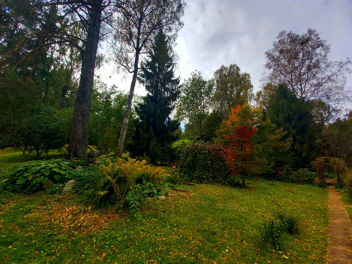 Осень этого года