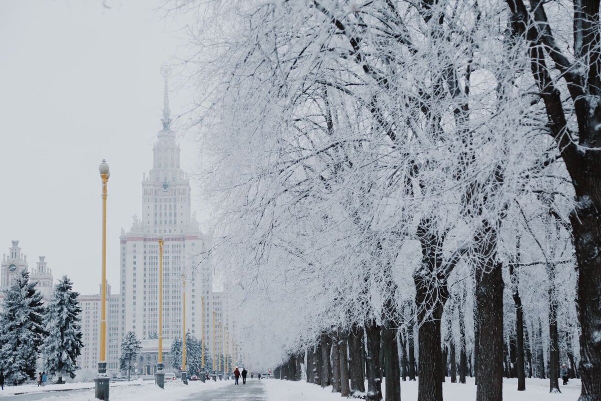 Яндекс.Картинки