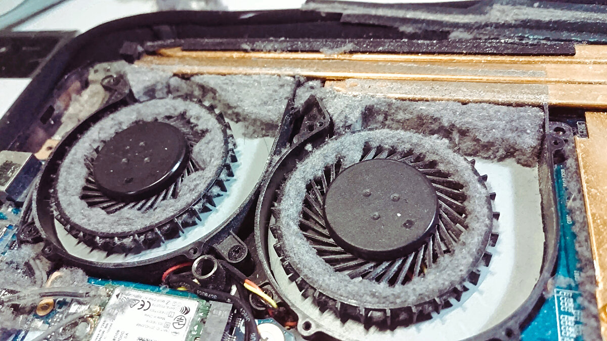 Не стоит доводить до такого результата