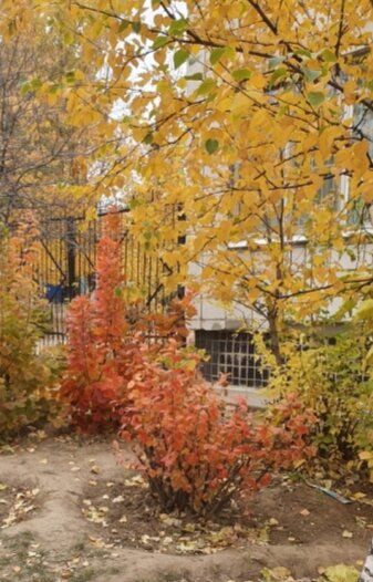Фото Автора