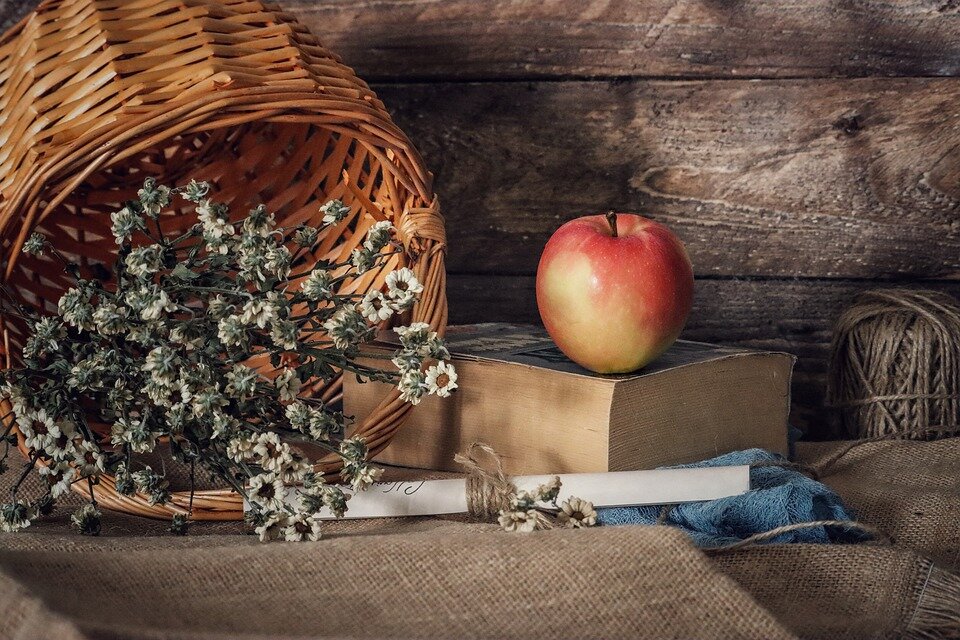 фото взято из открытых источников