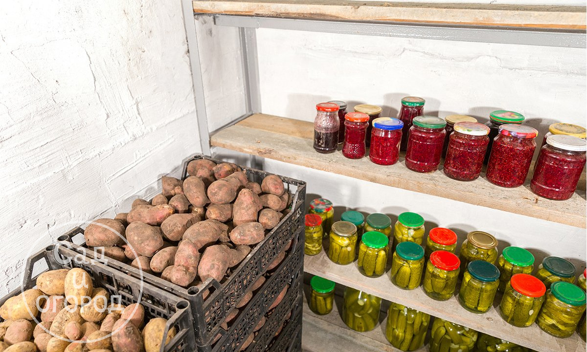 В погребе можно сделать специальные полки