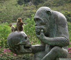 Пить или не пить? Вот в чём вопрос.