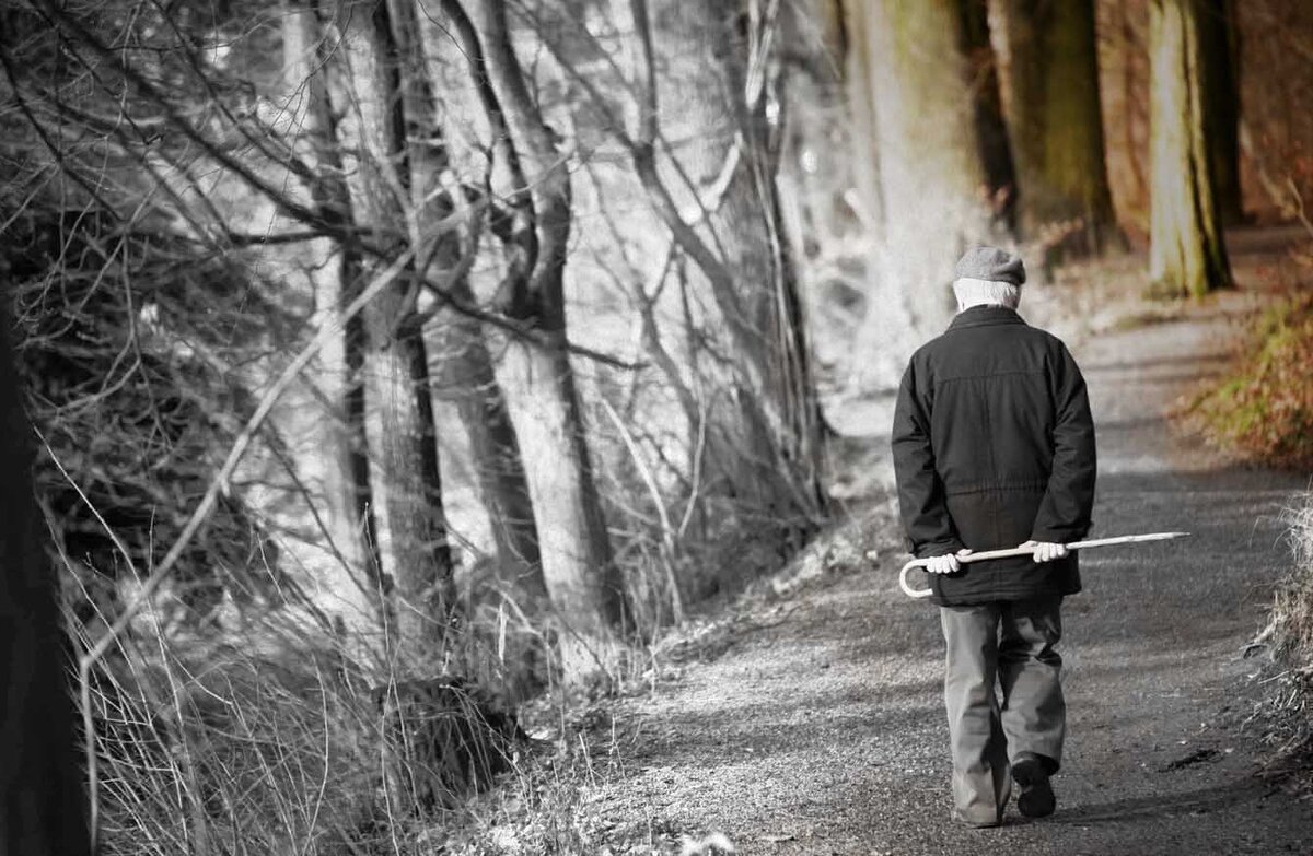 Картинки Яндекс