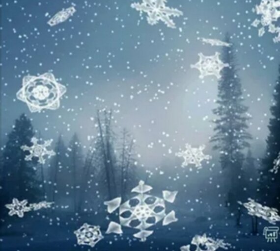 Фото из доступных источников