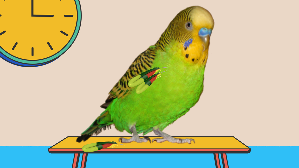 Картинки автора канала