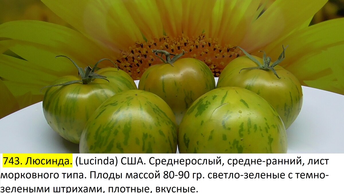 -61