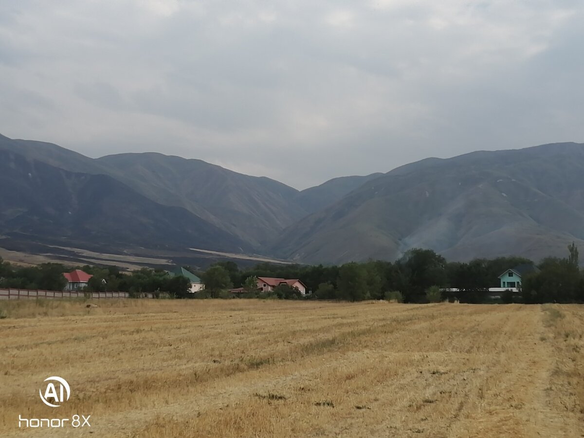 Как я нашла где похоронены родители Нурсултана Назарбаева и узнала, что у  него есть младшая сестра Анипа | Жанка-южанка | Дзен