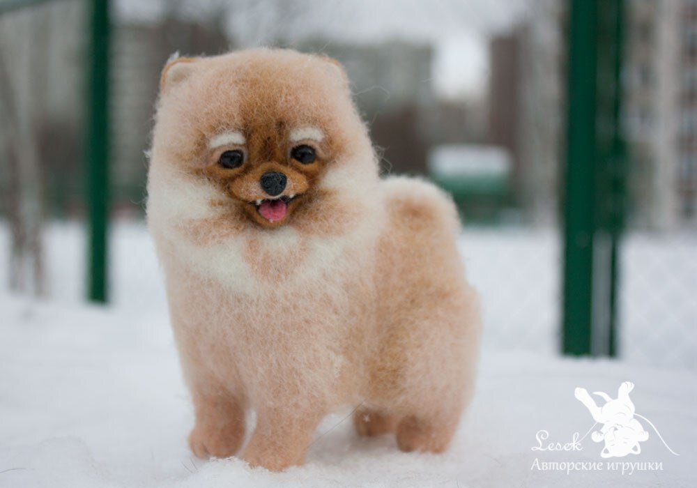 Шпиц Софи. Миниатюра выполнена из шерсти по индивидуальному заказу
