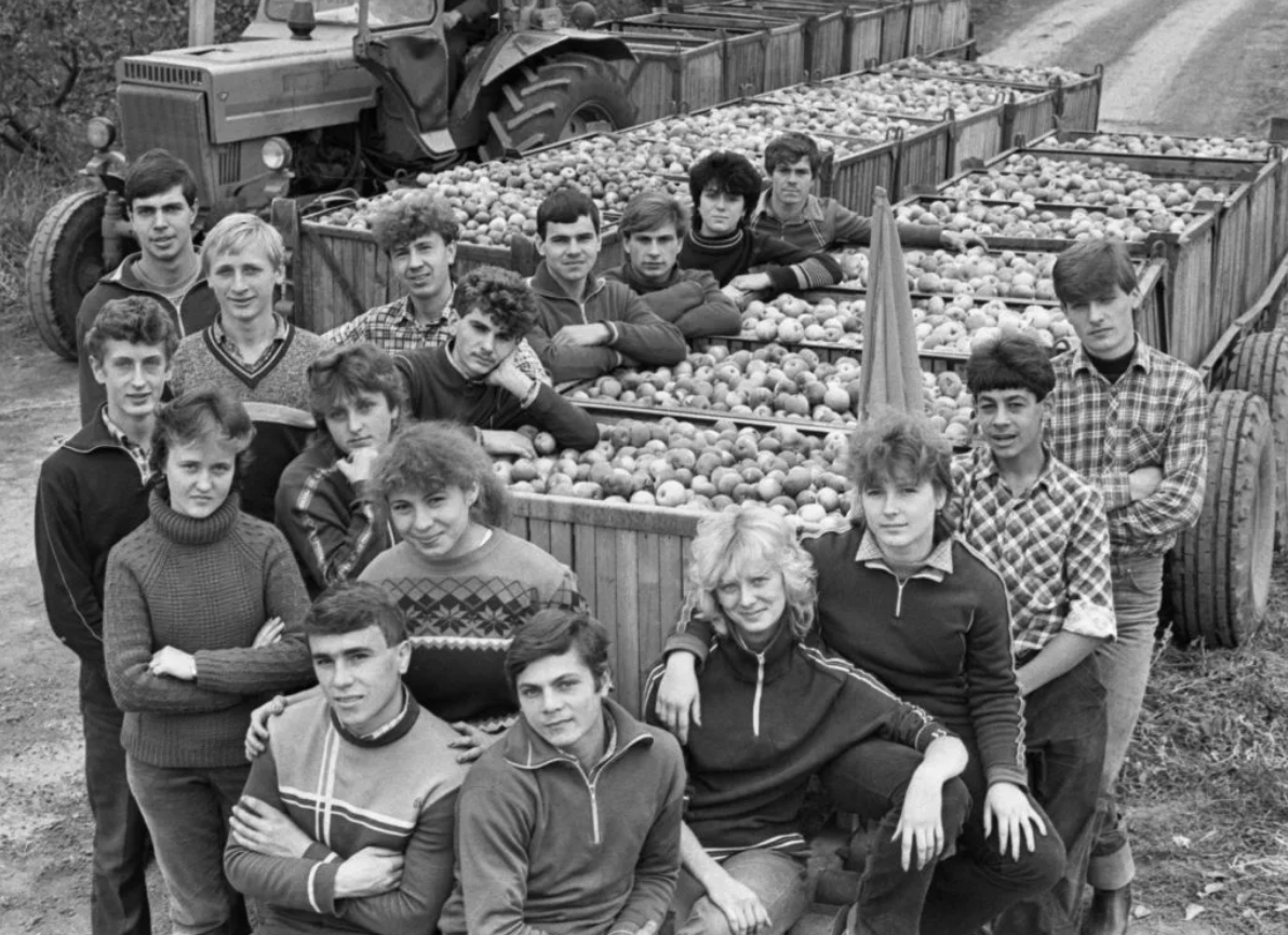 Студенты на сборе картофеля, 70-е годы, СССР