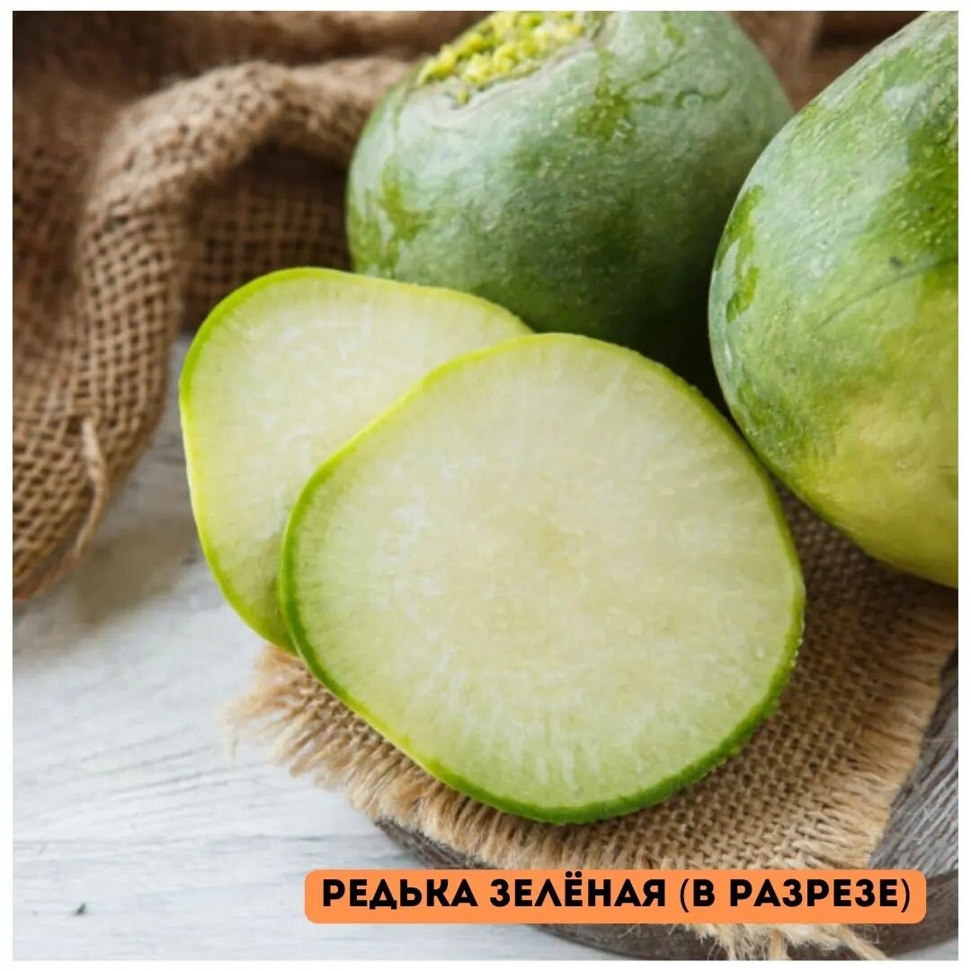 Редька - разные сорта в разрезе. Листайте!