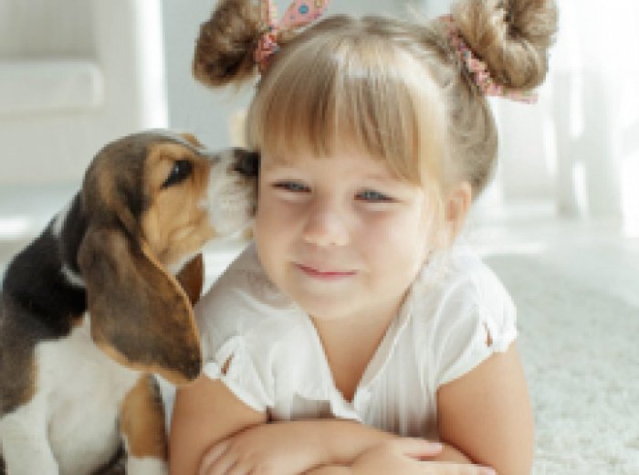 Аллергия на собак у ребенка