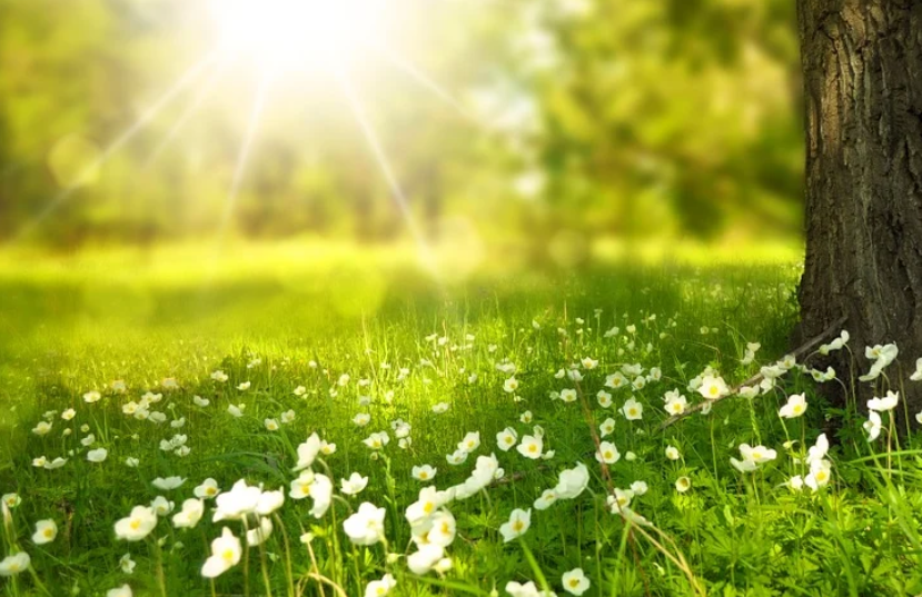 Свет он и есть свет