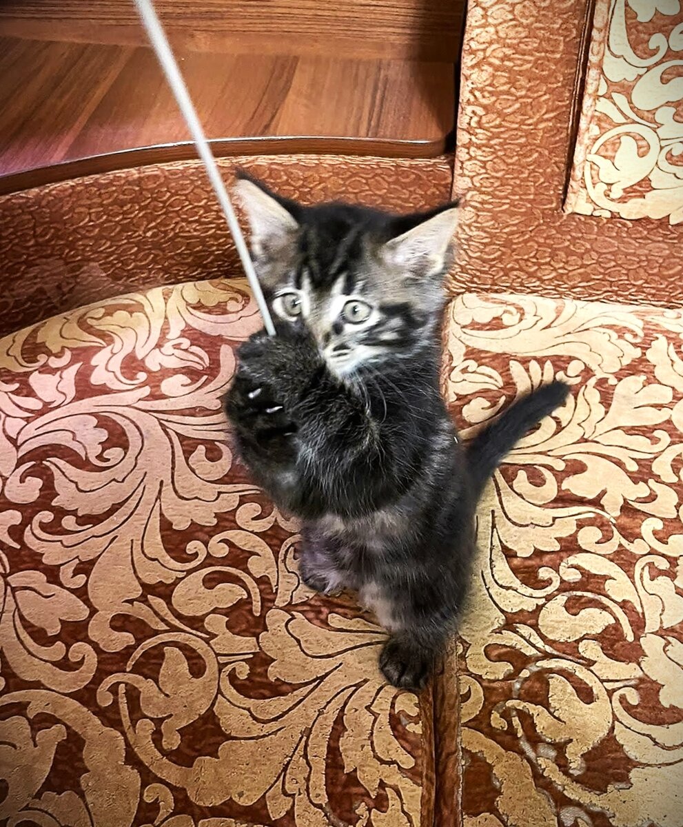 Фото из личного архива. Это Тим первого января.