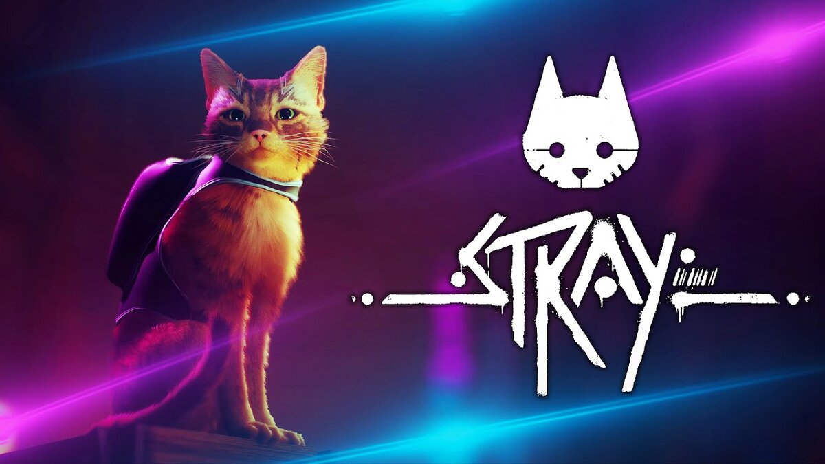 КОТИК ИЗ STRAY ВЫЙДЕТ ПОГУЛЯТЬ ЛЕТОМ | Hi-Tech, IT и игры | Дзен