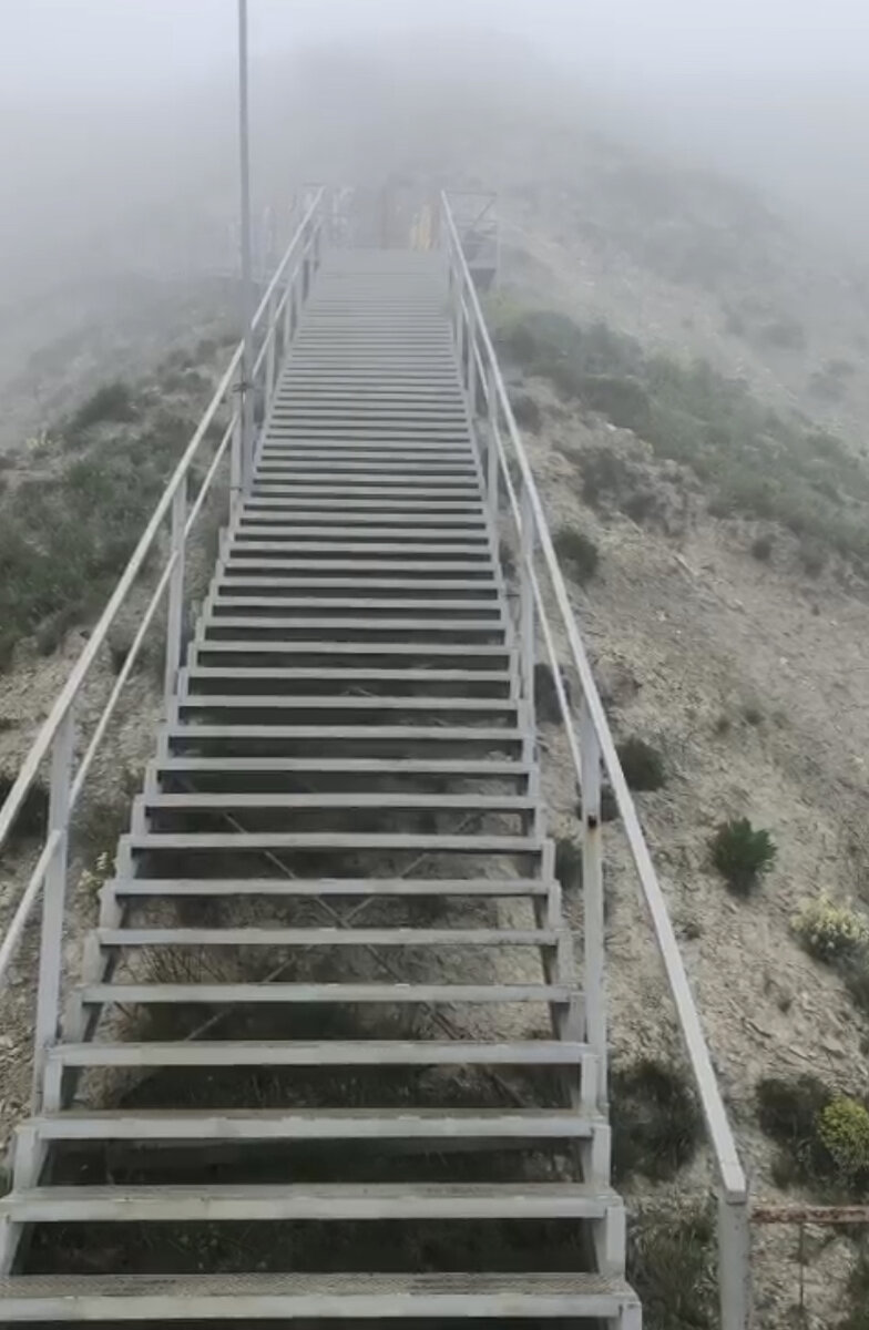 Лестница 800 ступеней в районе прилегающего к Анапе Супсеха, в плохую погоду не видна даже наполовину из-за тумана. Внизу где-то там плещется Чёрное море
