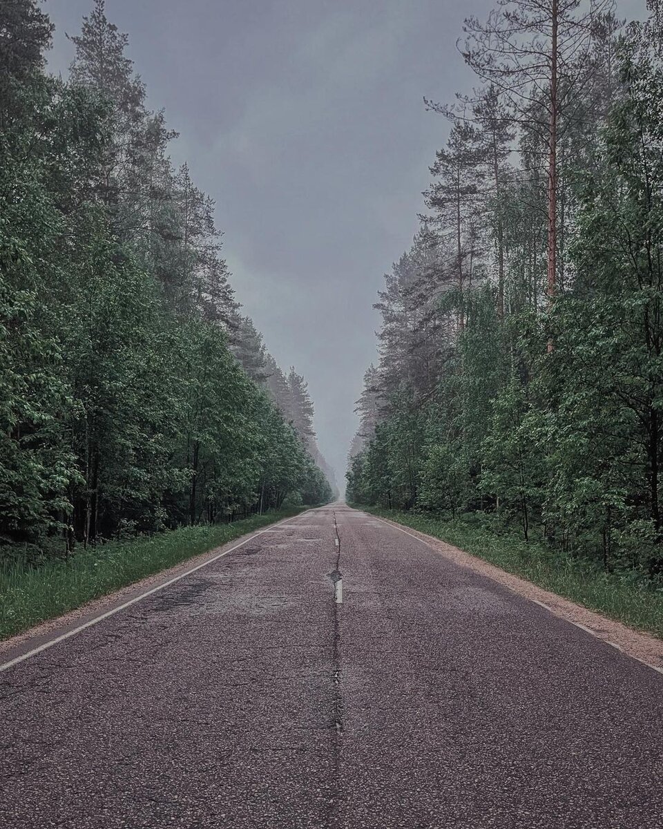 За предоставленную иллюстрацию автор благодарит: https://vk.com/breadtea