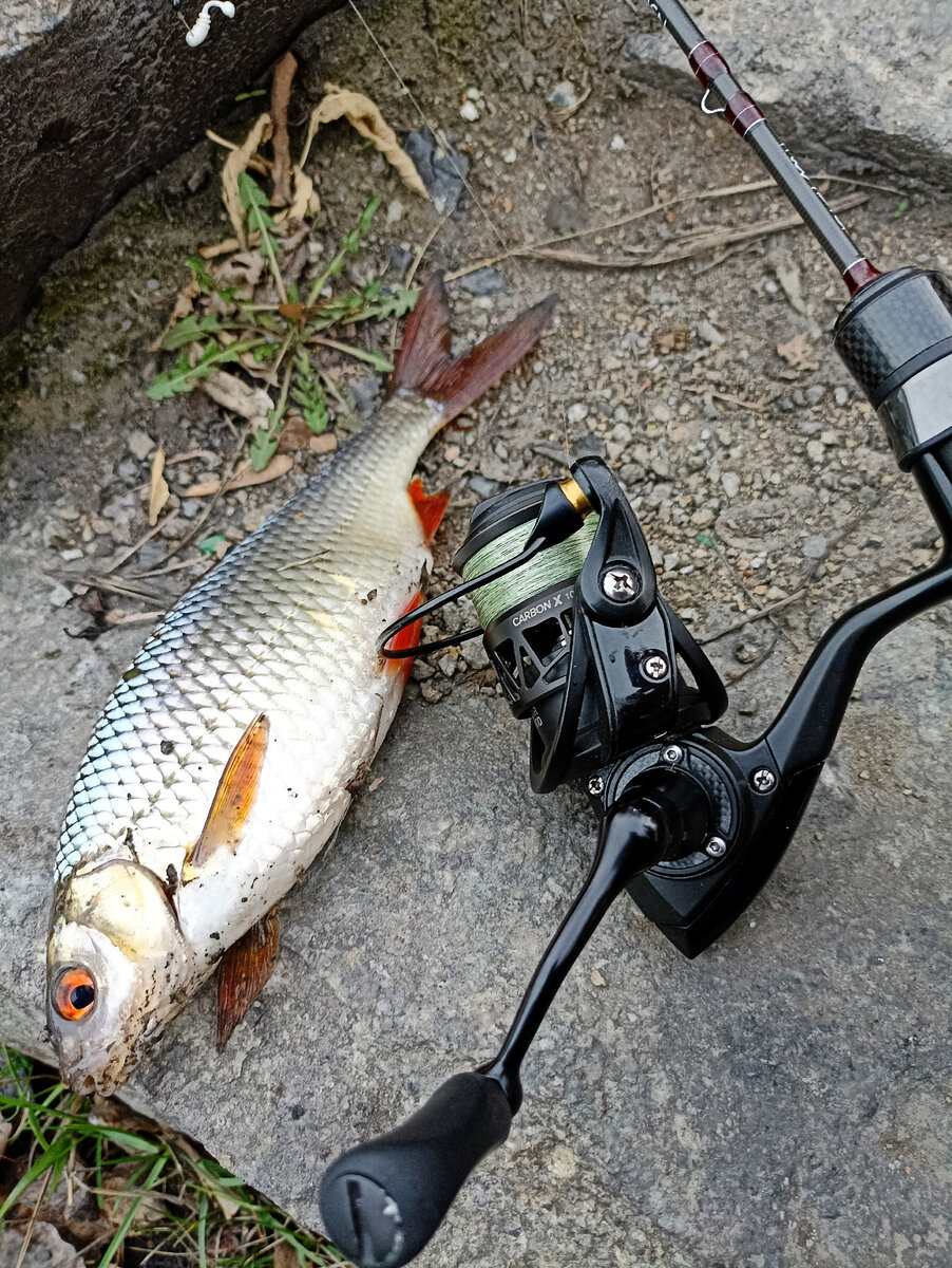 Хорошая плотва ...