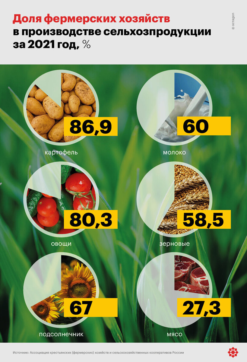 ©octagon.media, 2022