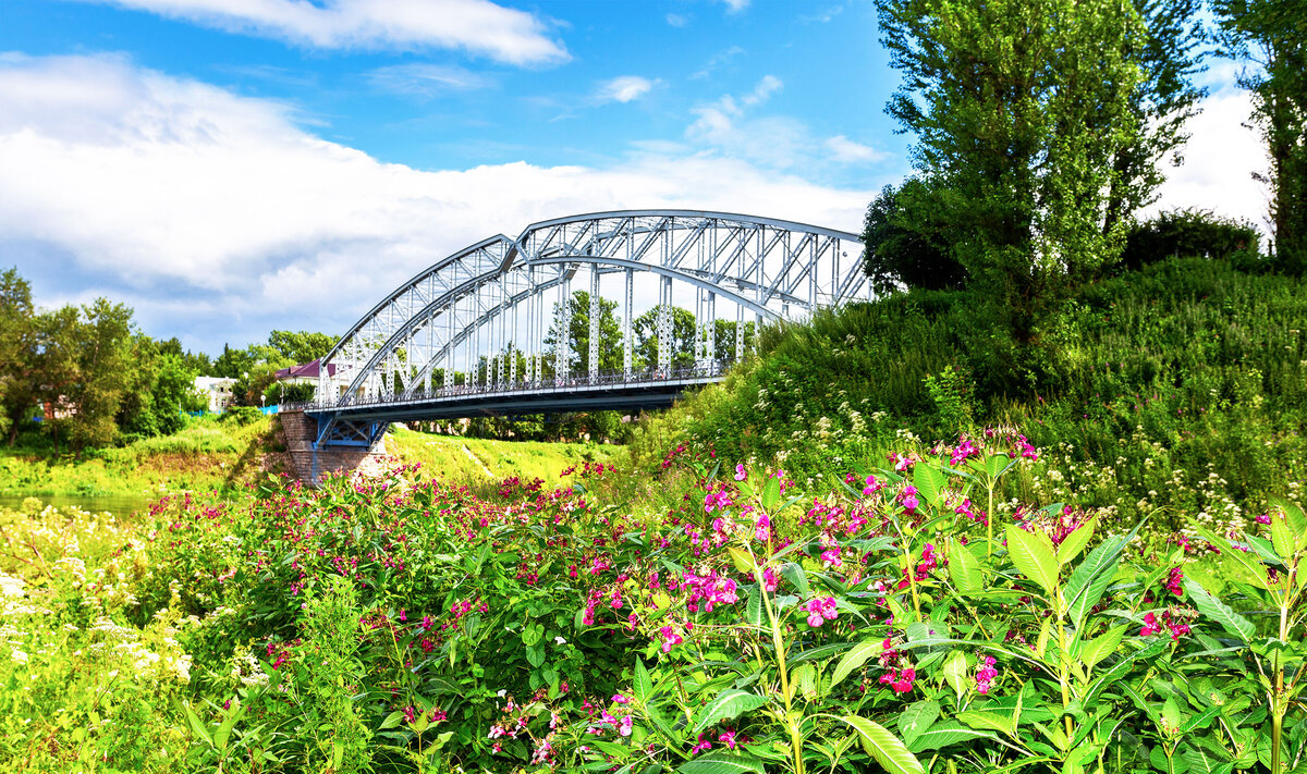 Боровичи удобно расположены между Москвой и Петербургом, поэтому добираться можно из обоих городов на авто или поезде.  Фото: FotograFFF / Shutterstock.com 
