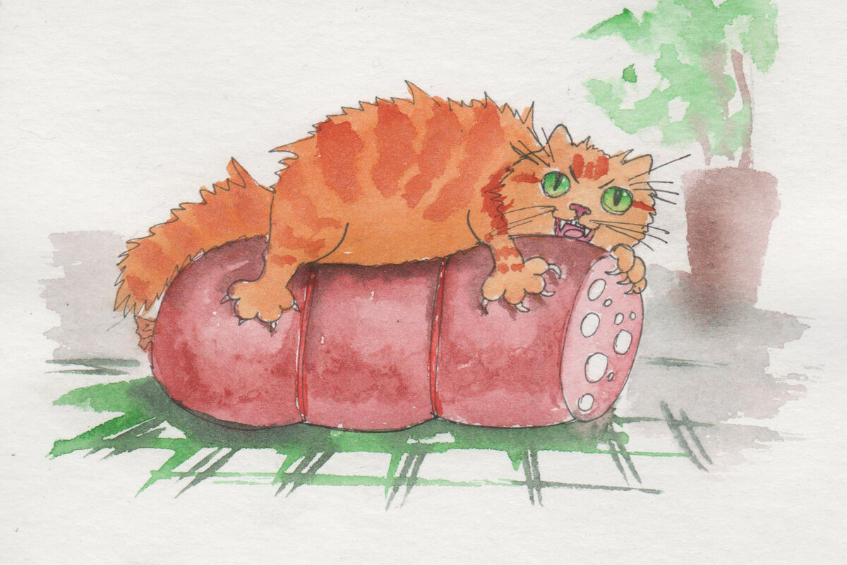 Картинка из интернета