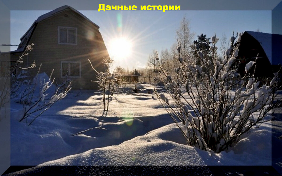 https://vk.com/photo-159774511_457257055
