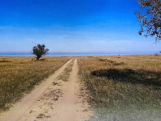     Фото: //t.me/Aksenov82/