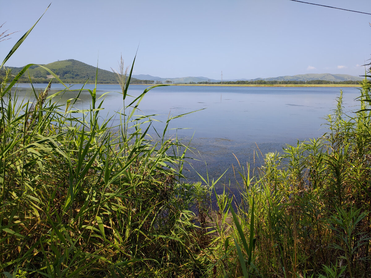 Вид на Лагуну Лебяжья, Хасанский район. Фото автора